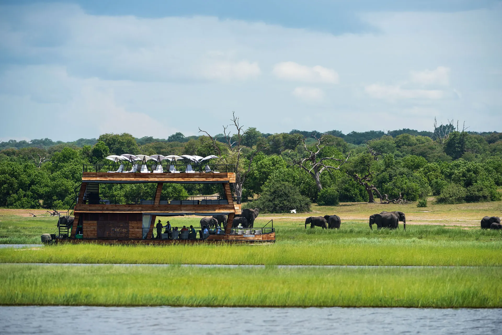 Veneestä tarkkaillaan rannalla laiduntavia norsuja