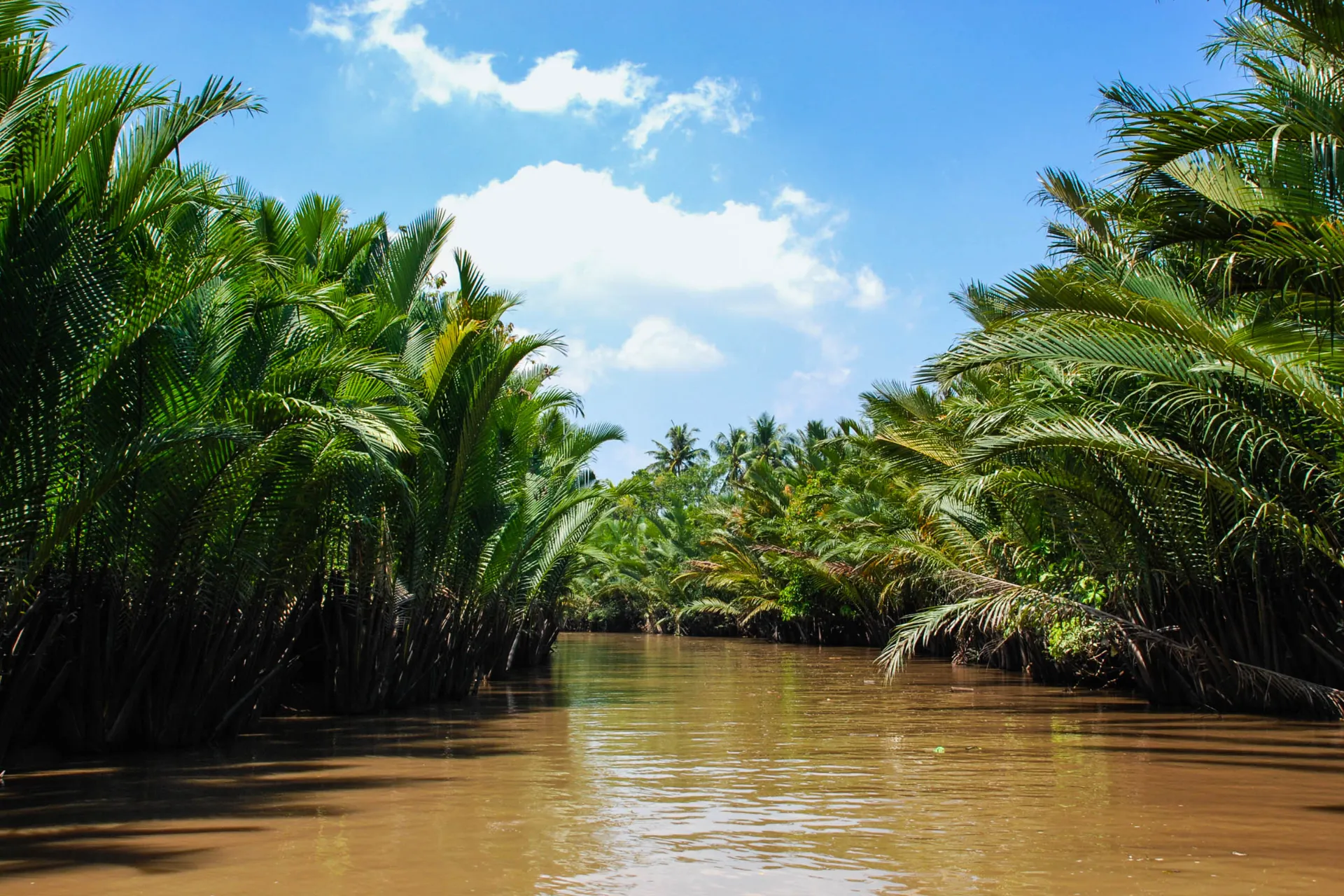 Jokimaisema Mekongin suistossa