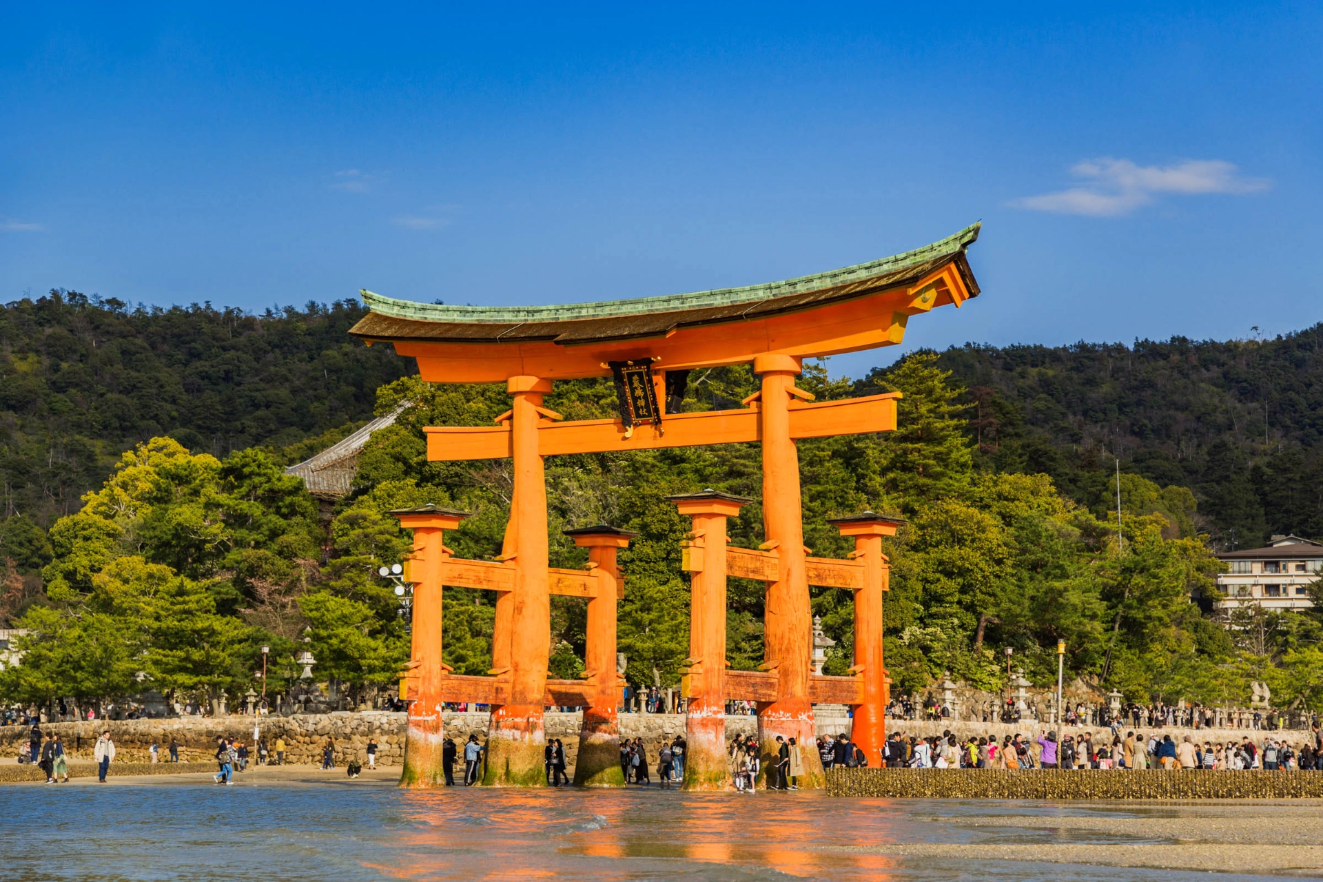 Ikoninen torii-portti Itsukushiman pyhäköllä Miyajimassa