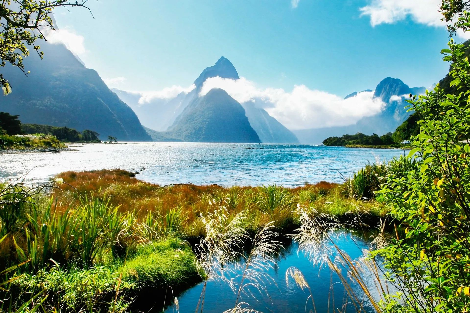 Milford Sound Fiordlandin kansallispuistossa, taustalla Mitre Peak
