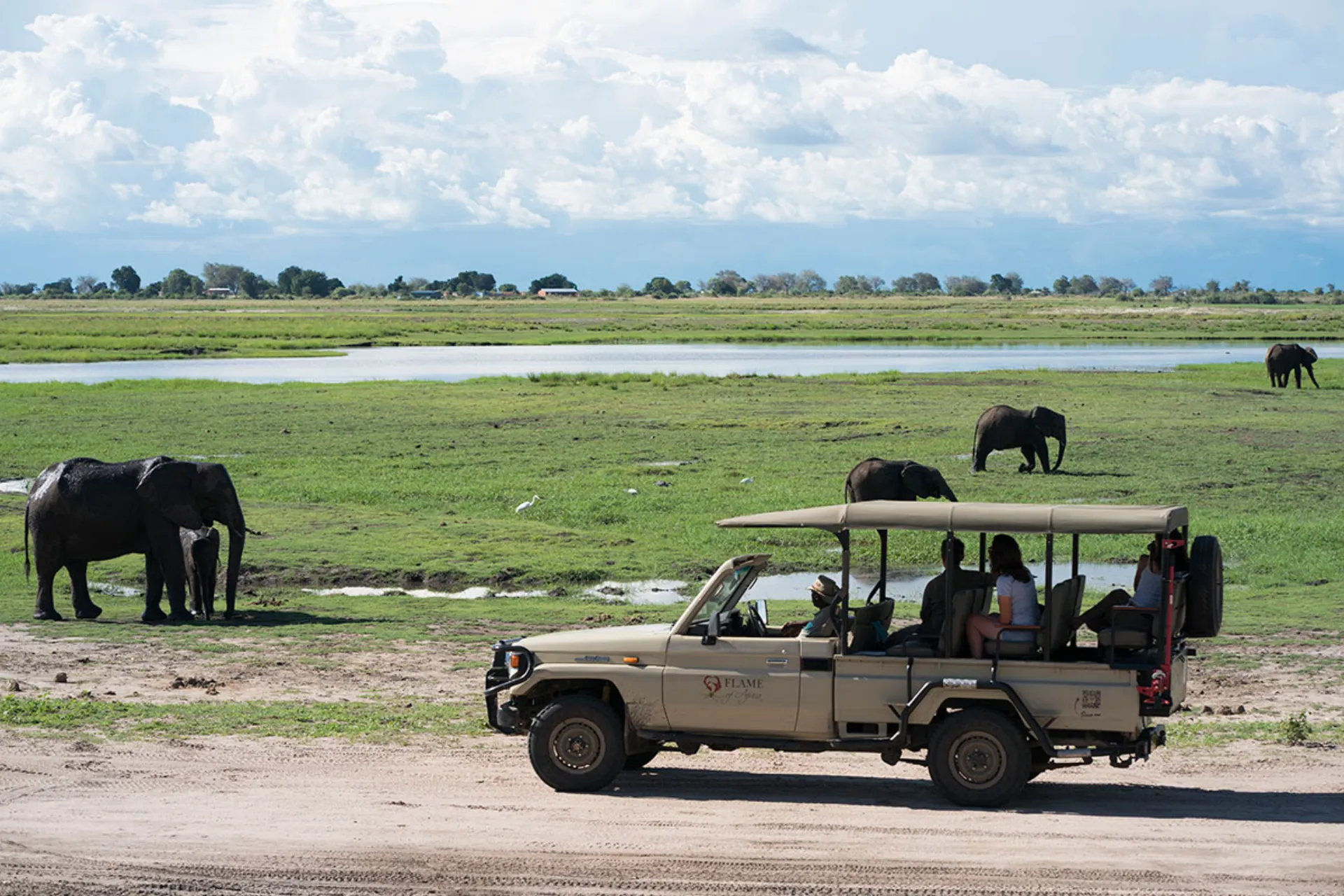 Norsuja, norsuja, norsuja… Norsuja, norsuja, norsuja…