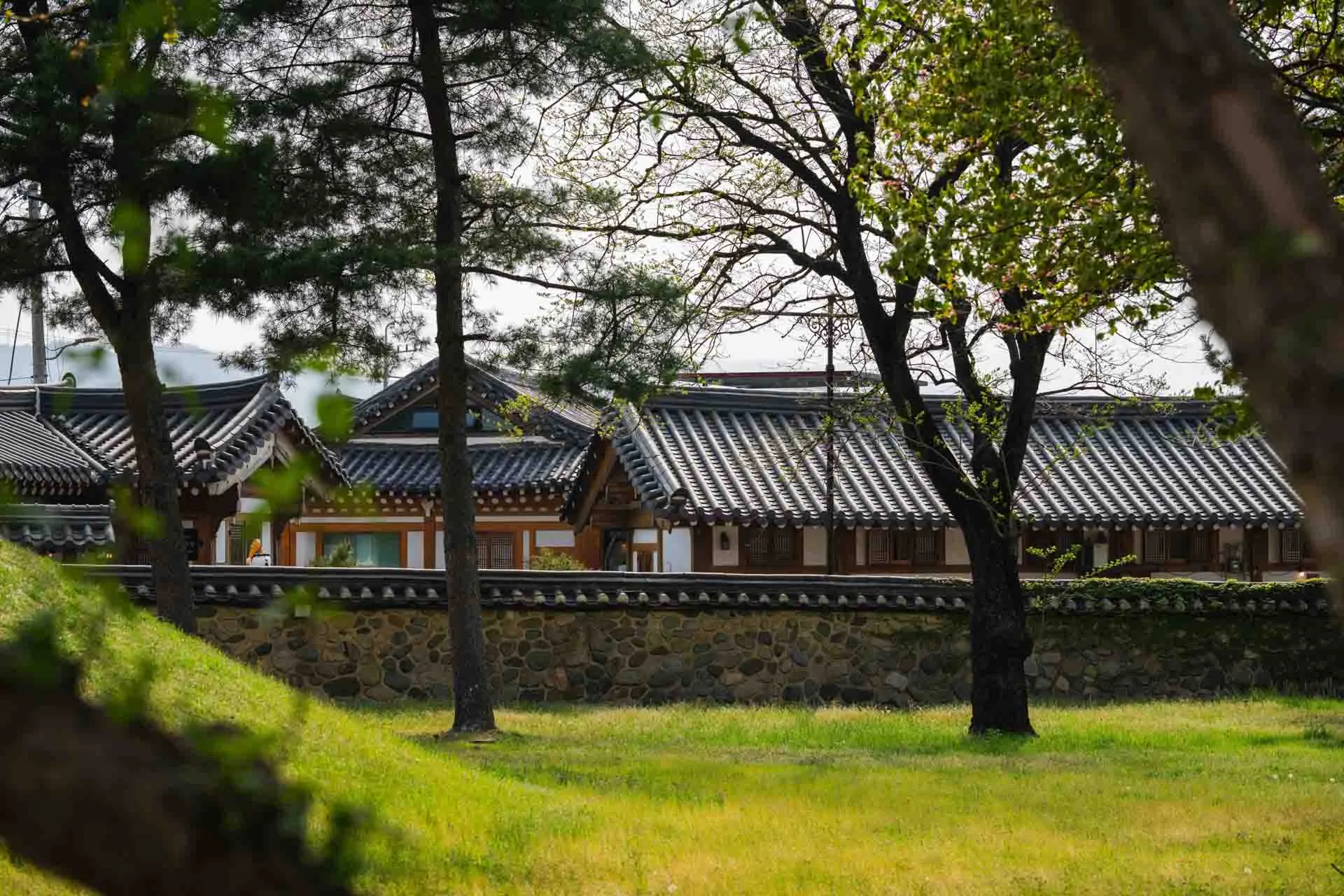 Daereungwon-hautakompleksi Gyeongjussa