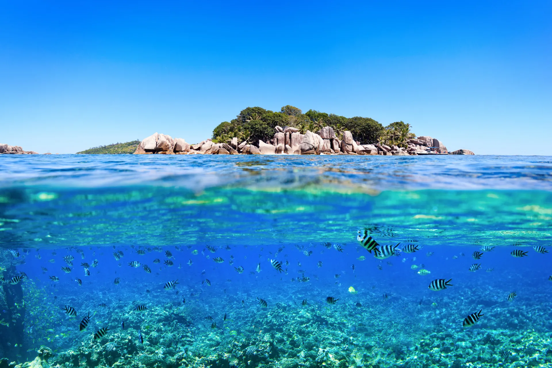 Veden päällä ja alla