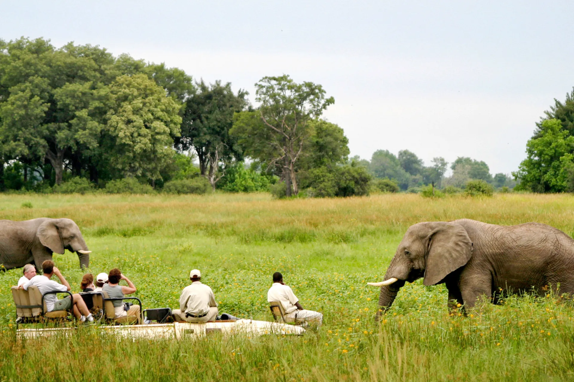 Rentoutunut hetki jeepistä Rentoutunut hetki jeepistä