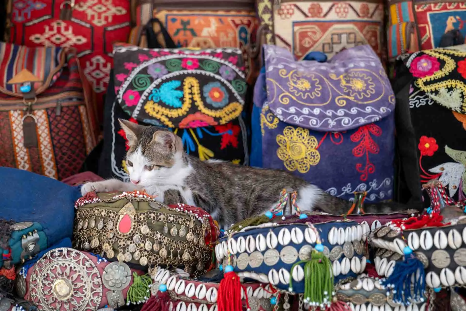 Yksi Istanbulin monista rakastetuista kissoista nauttii rauhasta keskellä basaaria