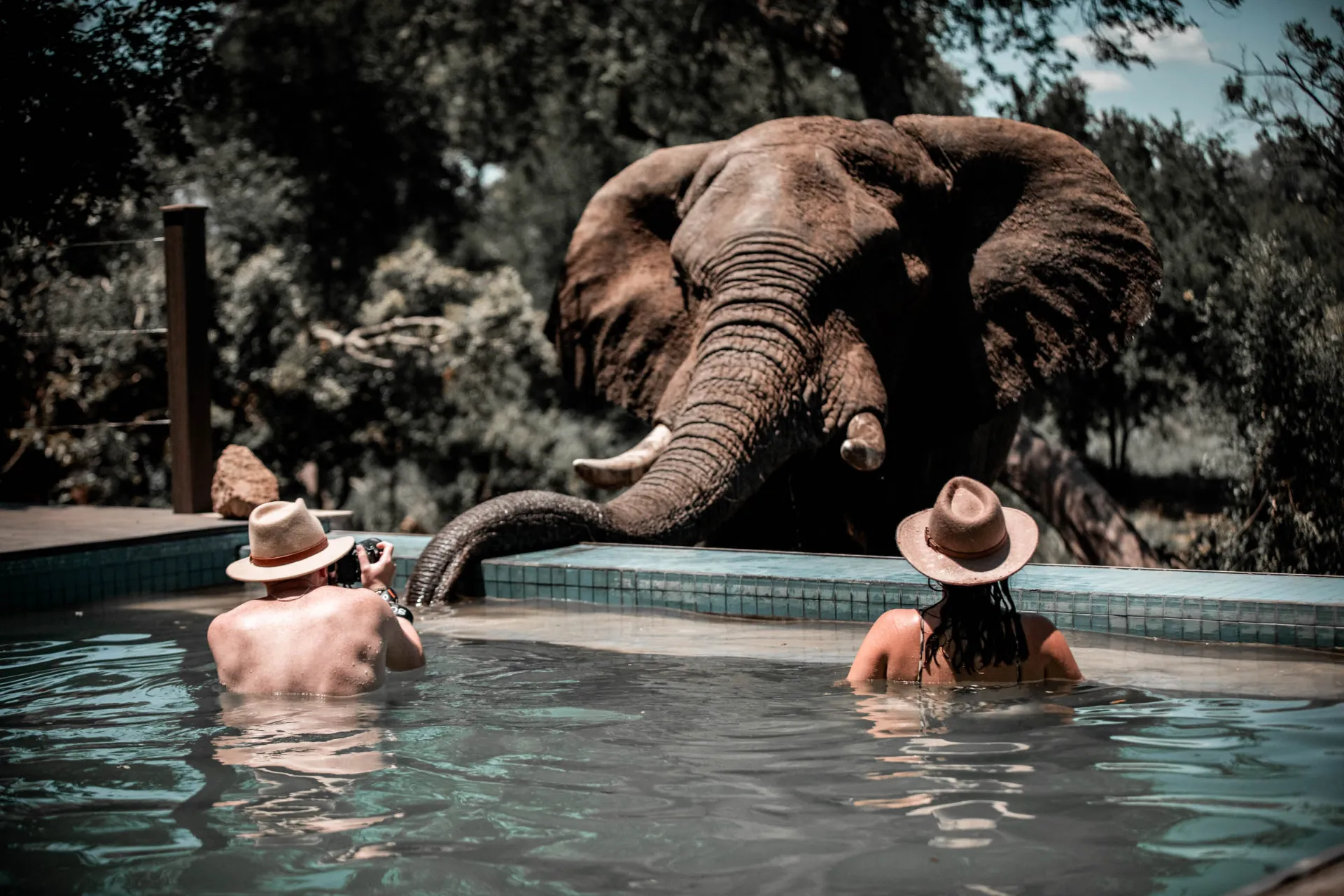 Lähemmäs ei taida päästä Lähemmäs ei taida päästä