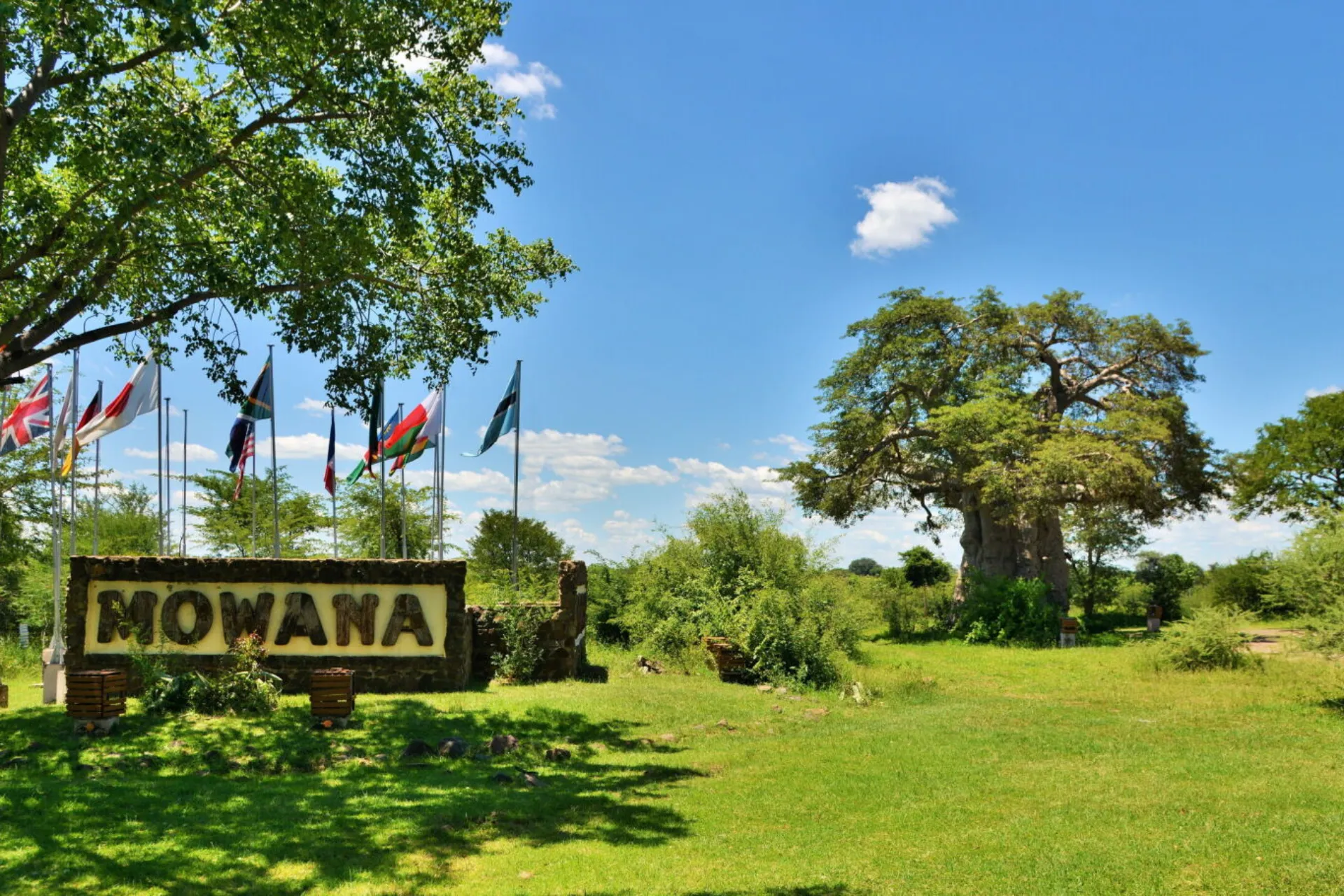 Mowana Lodgen sisäänkäynti, taustalla näkyvä baobab-puu Mowana Lodgen sisäänkäynti, taustalla näkyvä baobab-puu