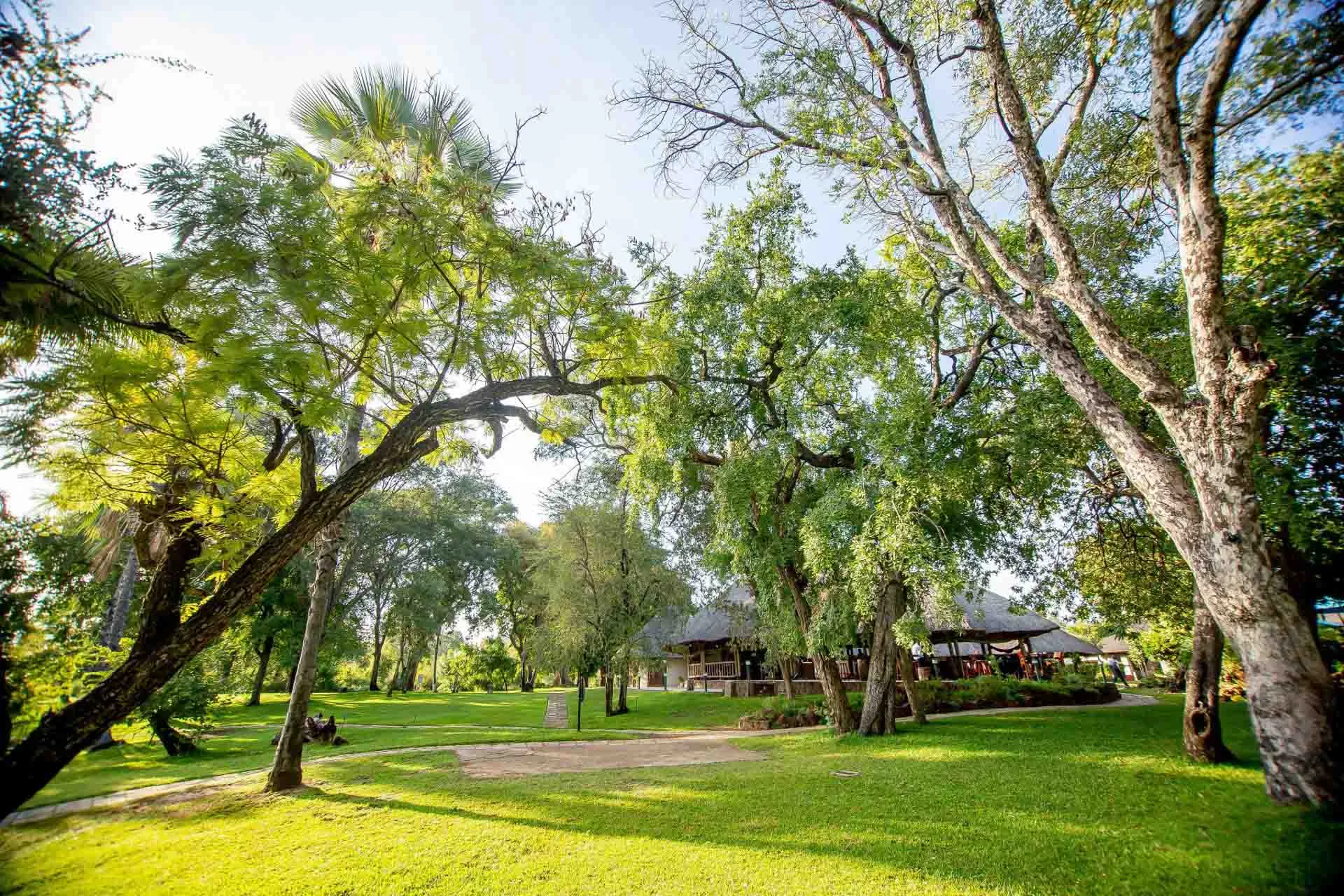 Puistoalue A’Zambezi River Lodgella Puistoalue A’Zambezi River Lodgella