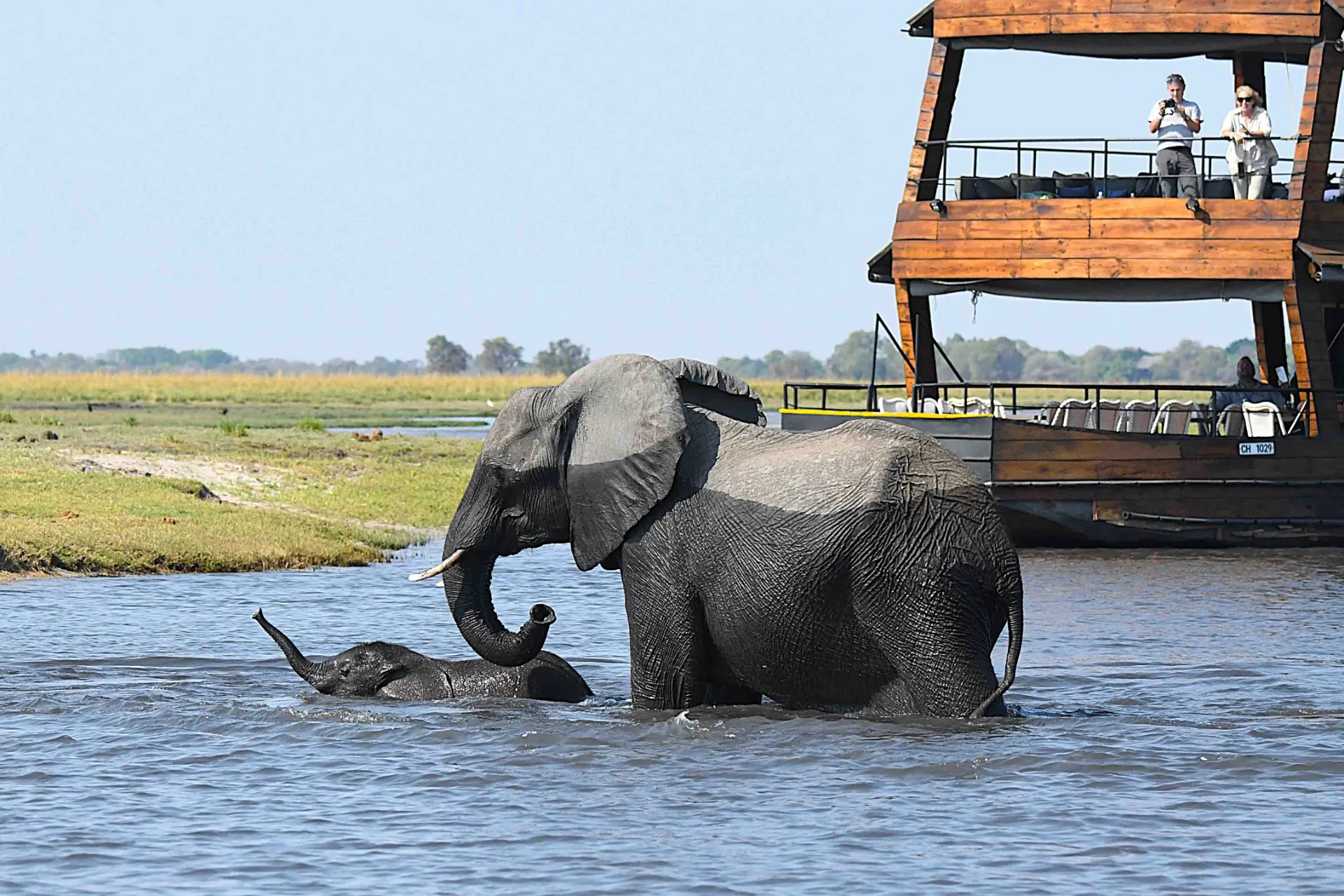 Poikasten on myös opittava uimaan Poikasten on myös opittava uimaan