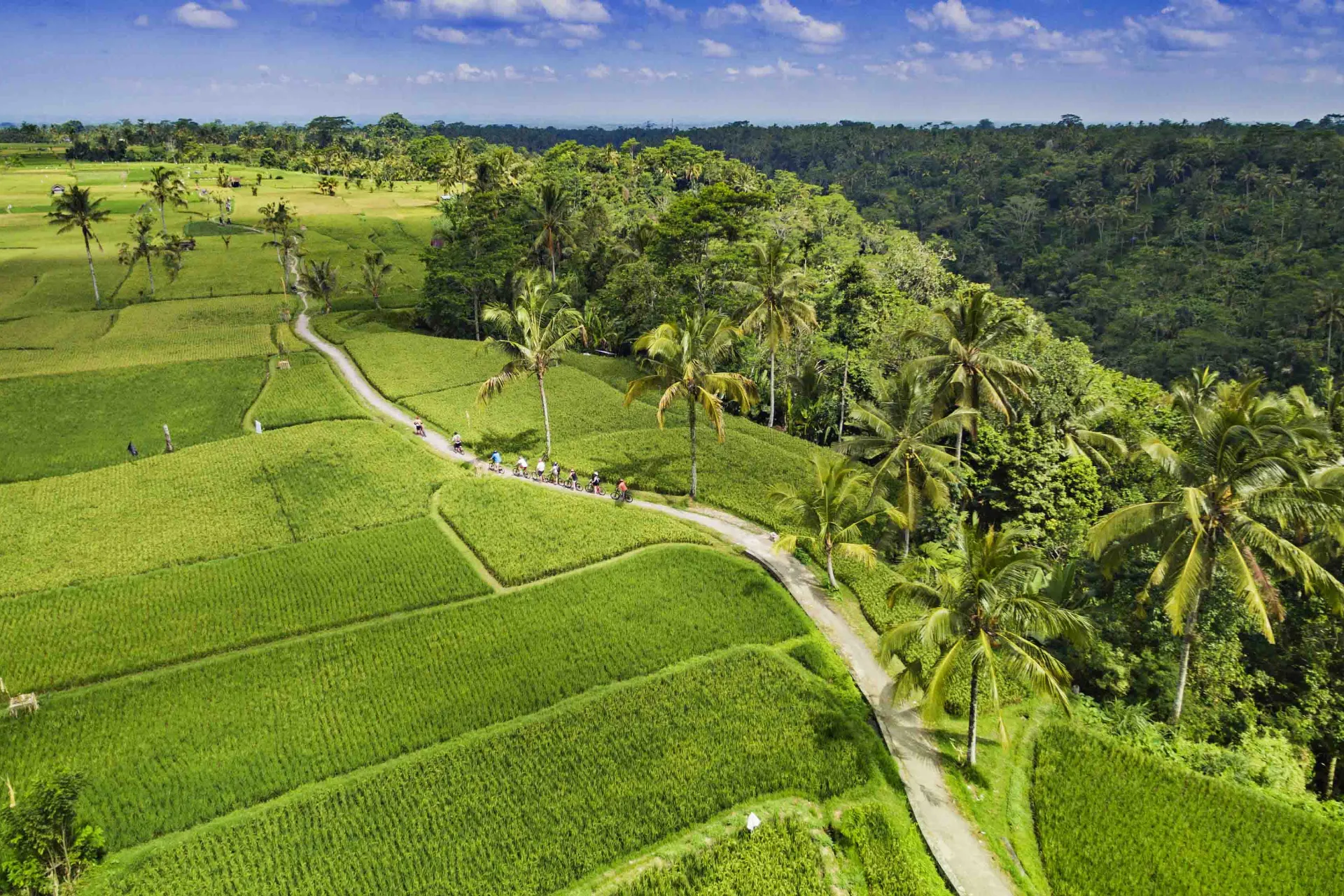 Pyöräretkellä Ubudin riisipeltojen halki Pyöräretkellä Ubudin riisipeltojen halki