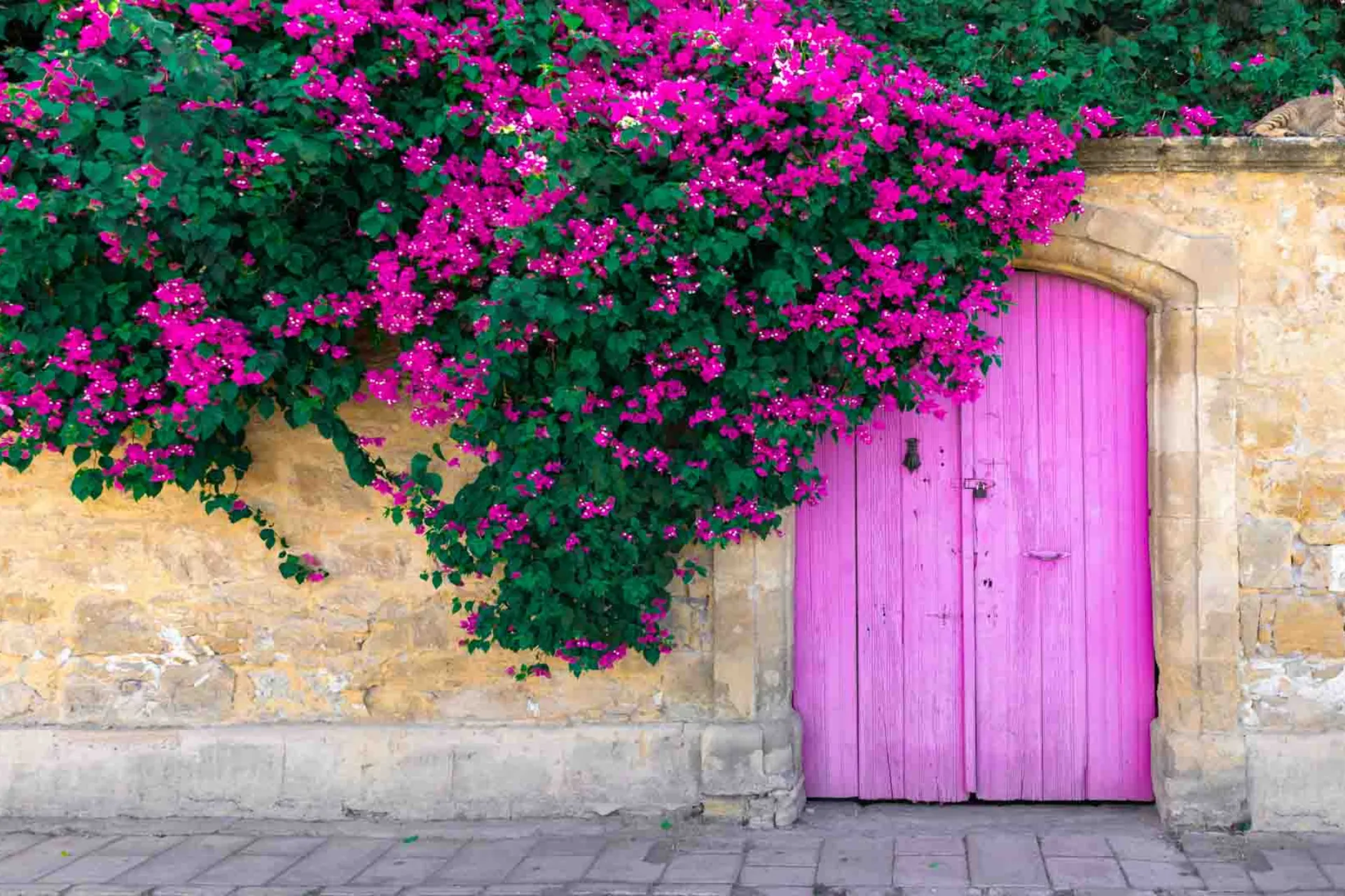 Väriloisto kadulla Väriloisto kadulla