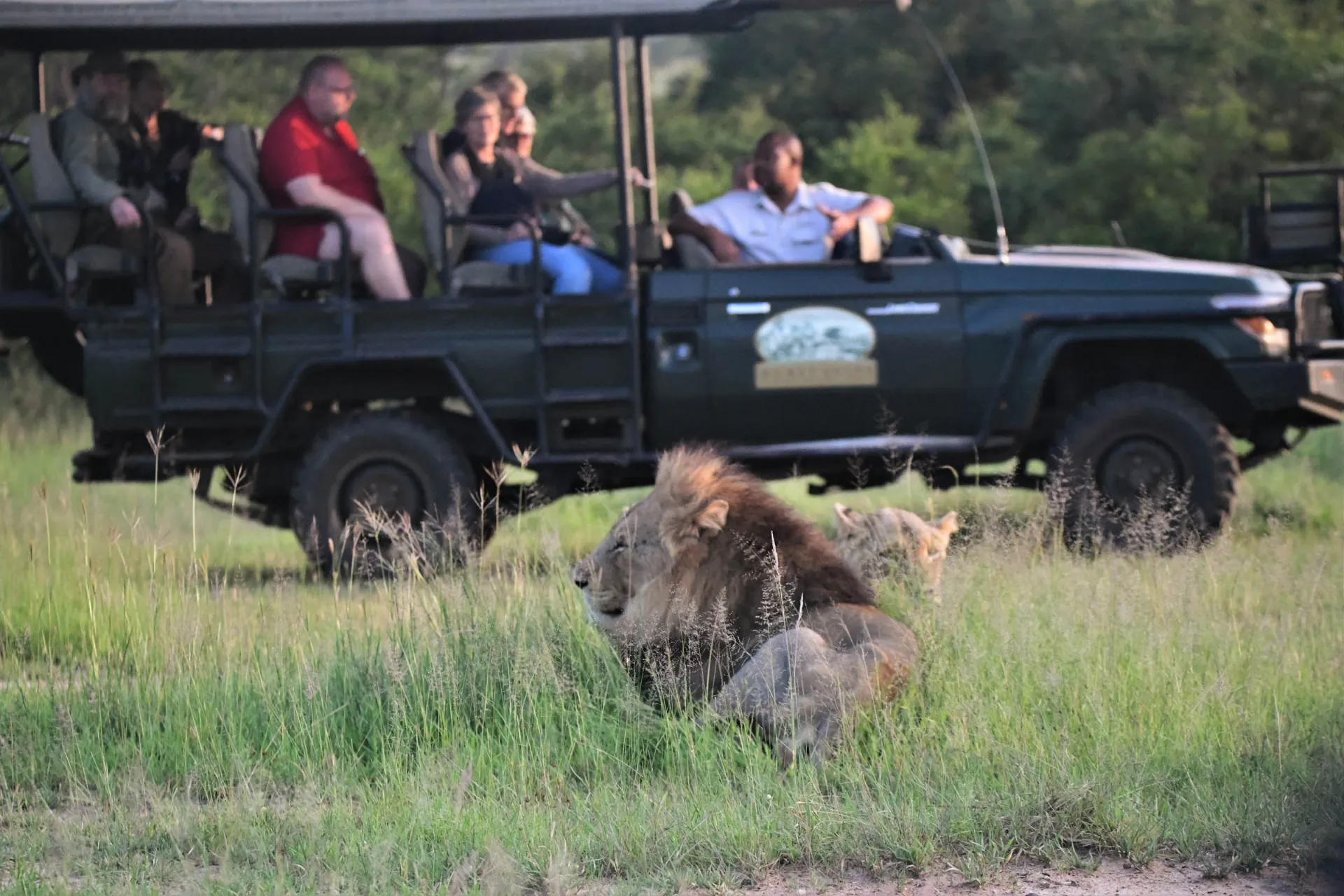 Safari avonaisessa jeepissä Safari avonaisessa jeepissä