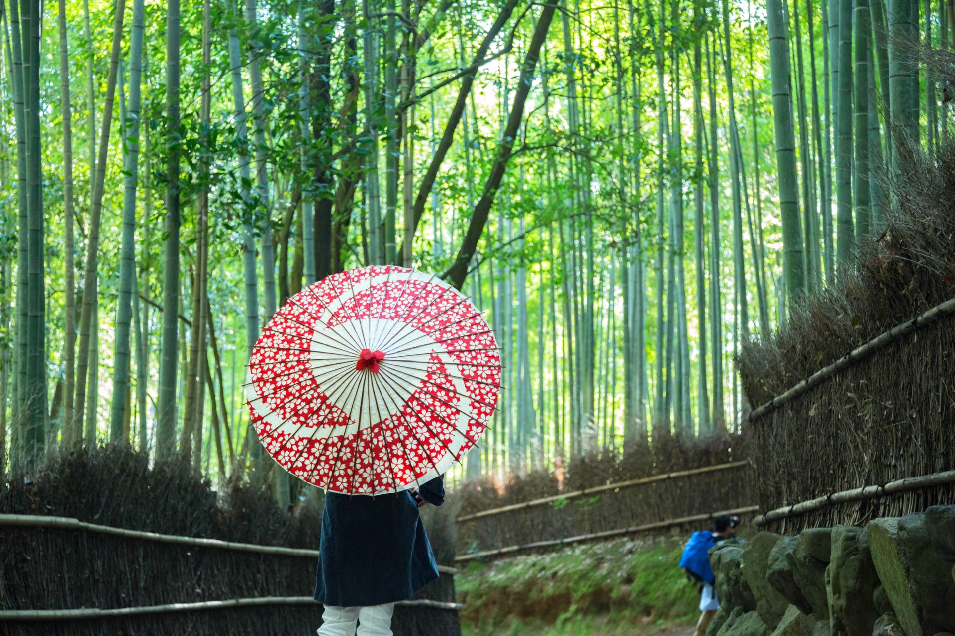 Bambumetsä Arashiyamassa, Kioto
