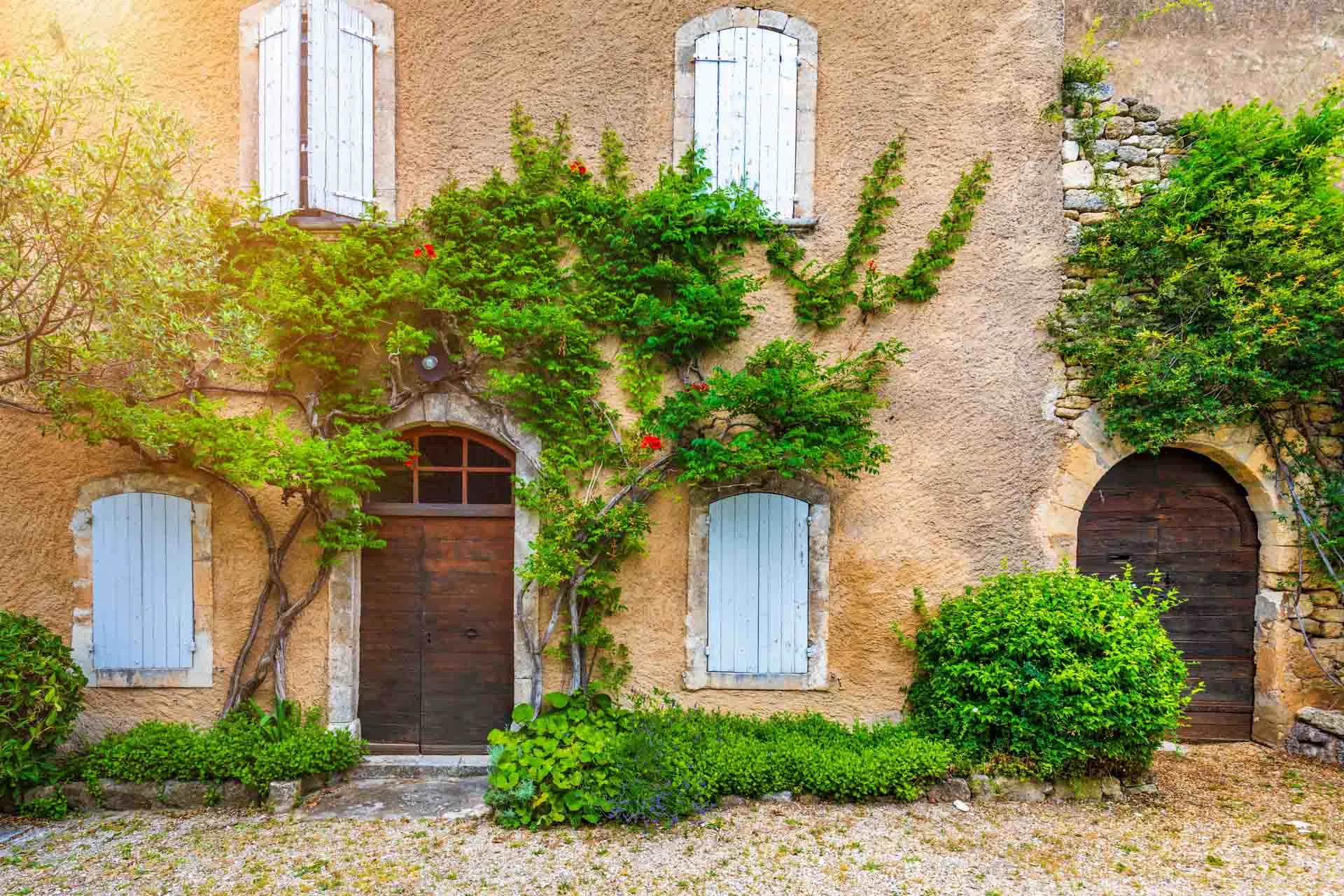 Vielä enemmän Ménerbes