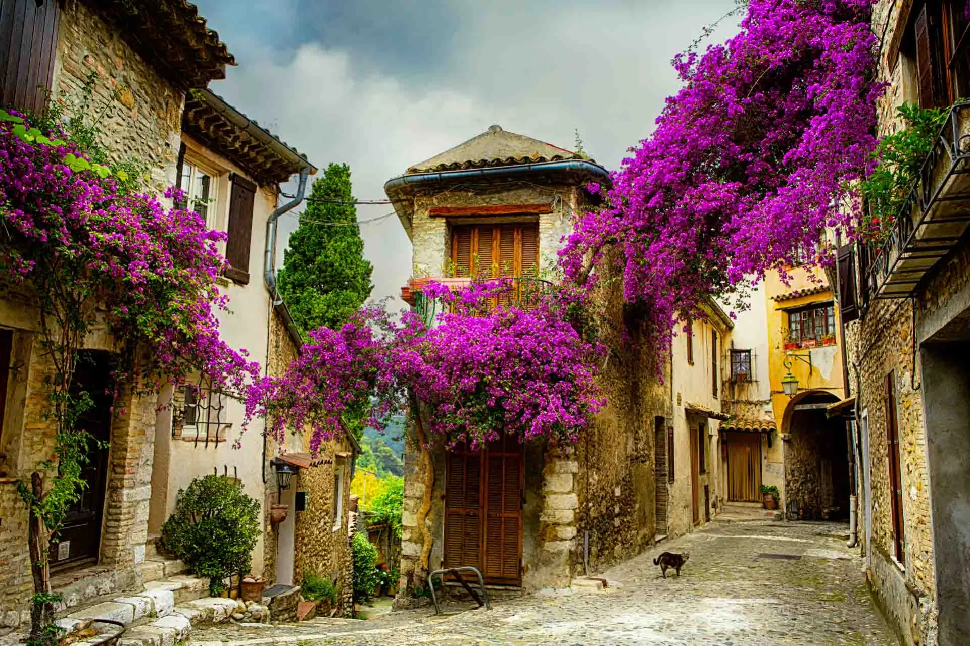 Provence – keskiaikainen kylä, jossa bougainvillea
