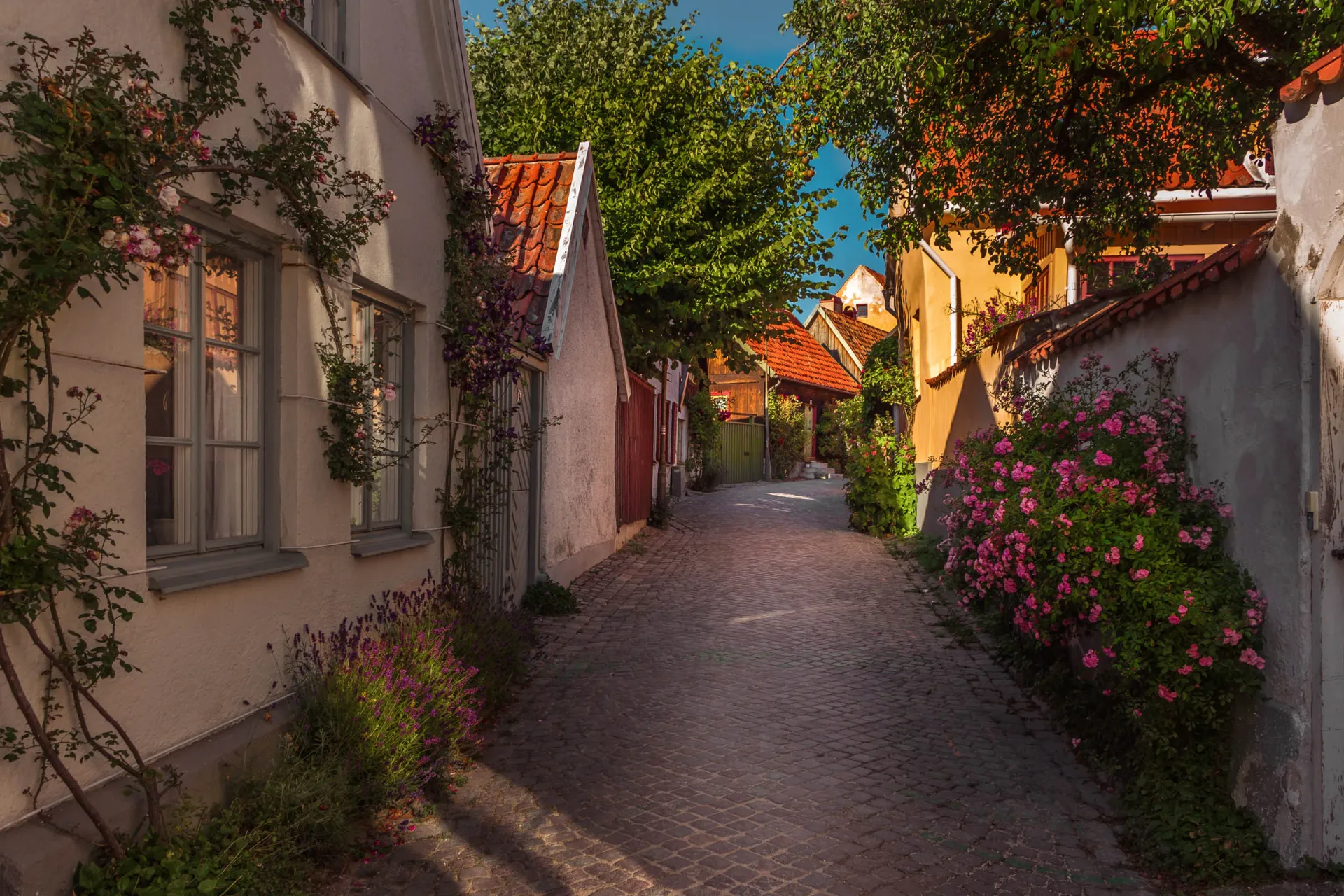 idyllinen katu Visbyssä idyllinen katu Visbyssä