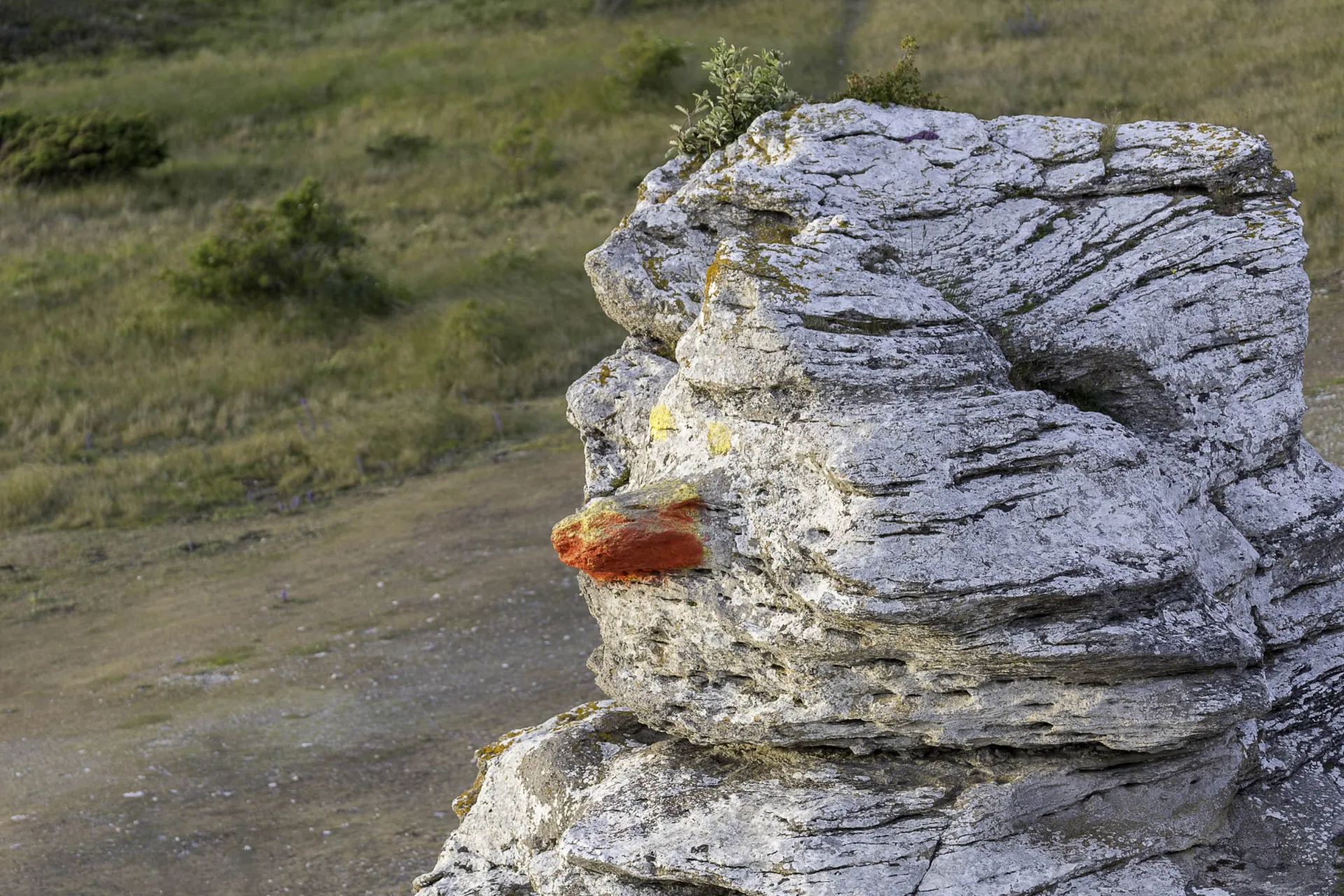 Rauk – tunnusomainen kalkkikivipylväs. Tämä rauk on nimeltään "Hoburgsgubben" ja se sijaitsee Gotlannin eteläkärjessä. Rauk – tunnusomainen kalkkikivipylväs. Tämä rauk on nimeltään "Hoburgsgubben" ja se sijaitsee Gotlannin eteläkärjessä.
