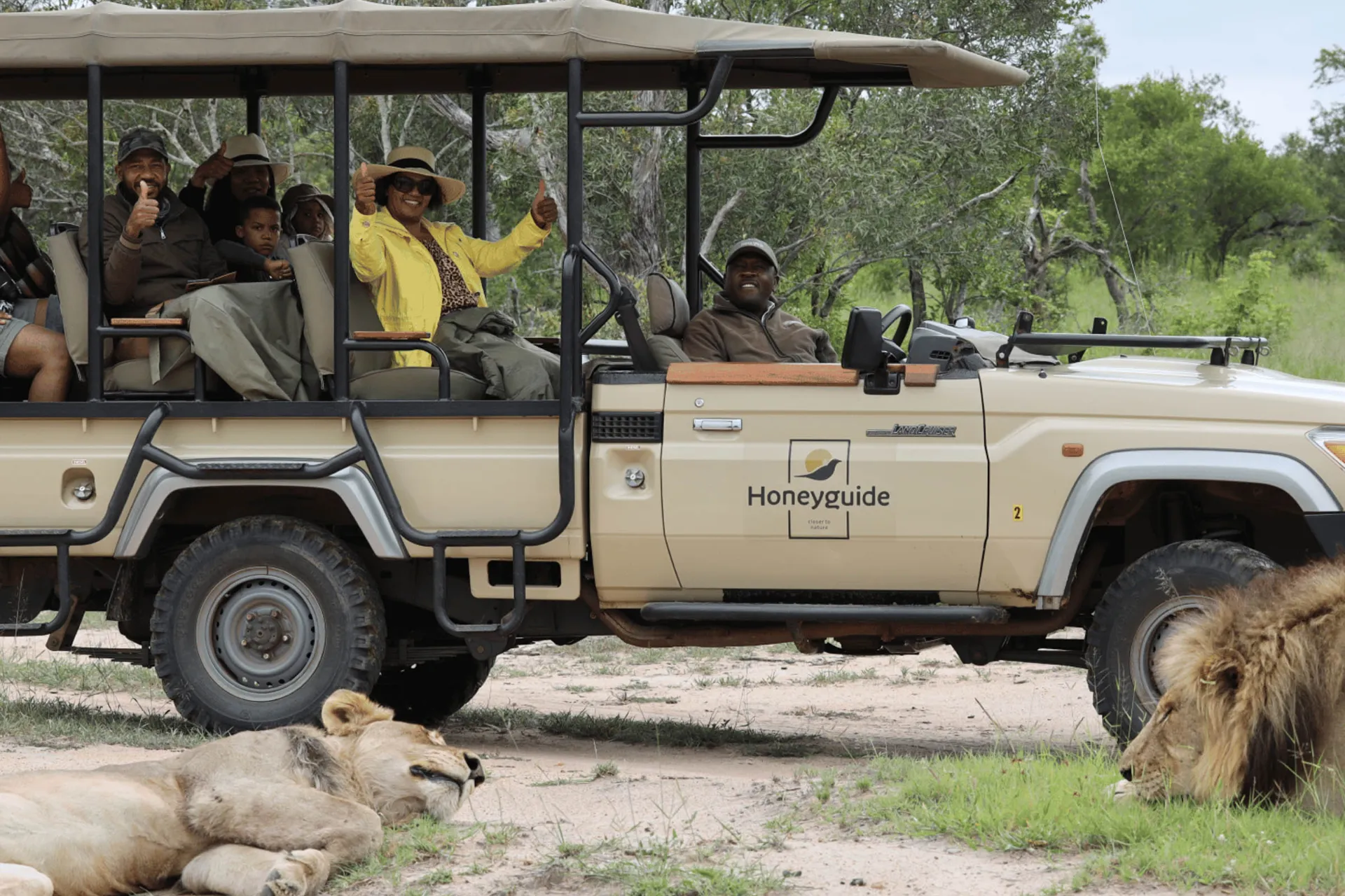 Istumme turvallisesti jeepissä, kun opas kertoo leijonasta Istumme turvallisesti jeepissä, kun opas kertoo leijonasta