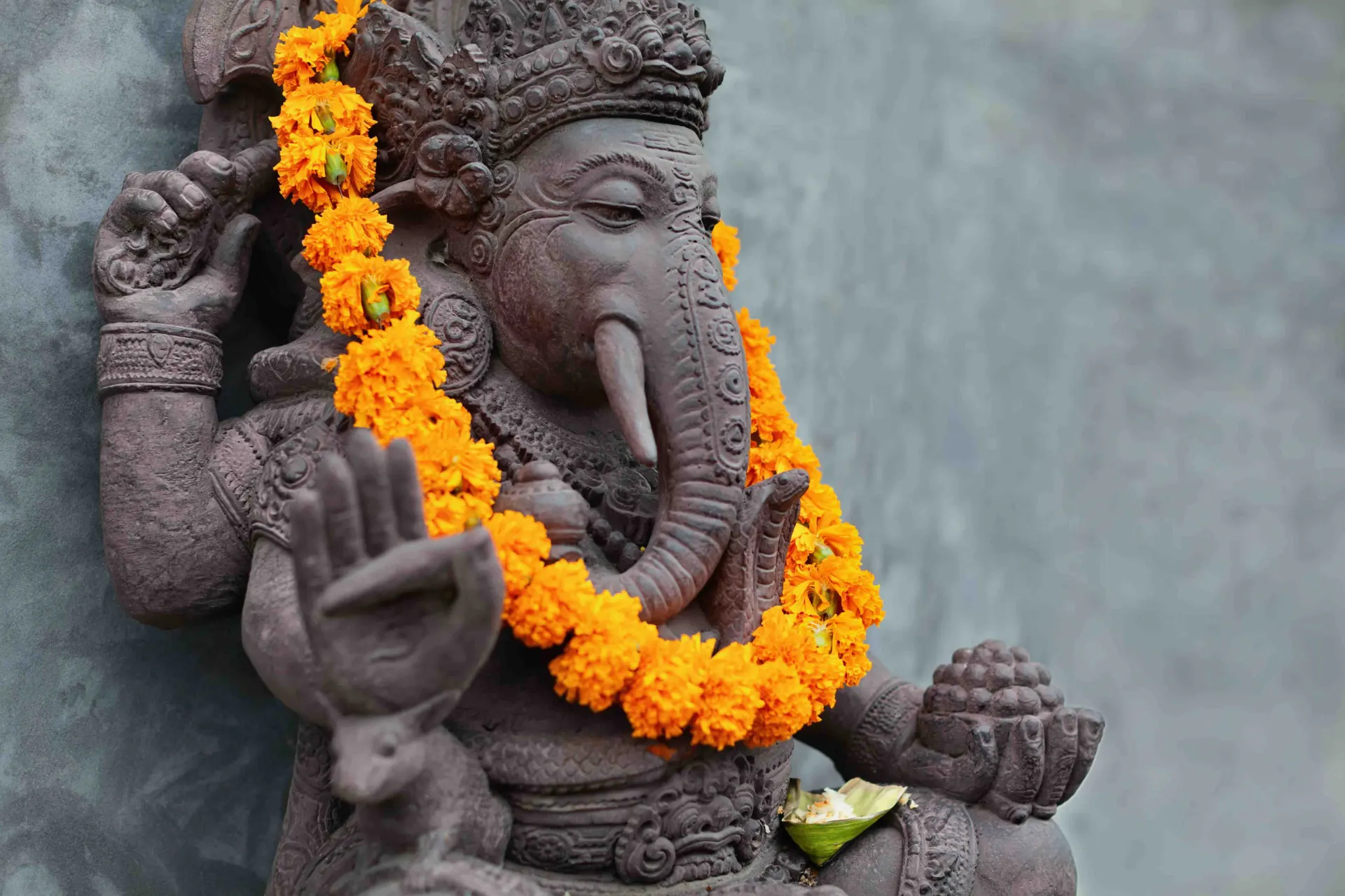 Ganesha-patsas kukkaseppeleellä Ganesha-patsas kukkaseppeleellä