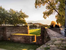 Luccan kaupunginmuurit ilta-auringossa Luccan kaupunginmuurit ilta-auringossa