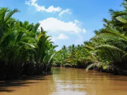 Jokimaisema Mekongin suistossa