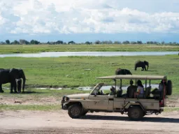 Norsuja, norsuja, norsuja…