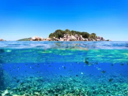 Veden päällä ja alla