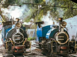 Darjeelingin lelujuna kulkee New Jalpaigurista Himalajan juurelta Darjeelingiin n. 2 000 m korkeuteen - n. 88 km