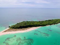 Ilmakuva Bird Islandista