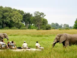 Rentoutunut hetki jeepistä Rentoutunut hetki jeepistä