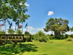 Mowana Lodgen sisäänkäynti, taustalla näkyvä baobab-puu