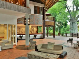 Mowana Lodgen vastaanotto, näkymä suurelle baobab-puulle Mowana Lodgen vastaanotto, näkymä suurelle baobab-puulle