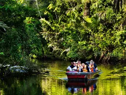 Venematka Tortugueron vihreillä rauhallisilla kanaaleilla