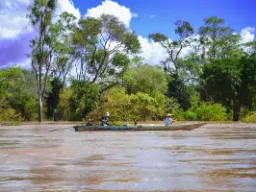 Paikallisia veneessä Mekong-joen tulvivan metsän läpi.