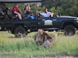 Safari avonaisessa jeepissä Safari avonaisessa jeepissä