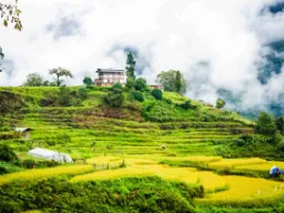 Vihreät pellot Punakhassa