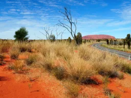 Ayers Rock vaihtaa väriä auringon liikke Ayers Rock vaihtaa väriä auringon liikke