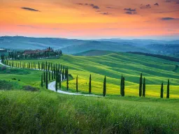 Sypressejä kiemurtelevan tien varrella auringonlaskussa Sypressejä kiemurtelevan tien varrella auringonlaskussa