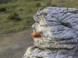 Rauk – tunnusomainen kalkkikivipylväs. Tämä rauk on nimeltään "Hoburgsgubben" ja se sijaitsee Gotlannin eteläkärjessä. Rauk – tunnusomainen kalkkikivipylväs. Tämä rauk on nimeltään "Hoburgsgubben" ja se sijaitsee Gotlannin eteläkärjessä.