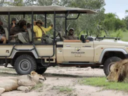 Istumme turvallisesti jeepissä, kun opas kertoo leijonasta Istumme turvallisesti jeepissä, kun opas kertoo leijonasta