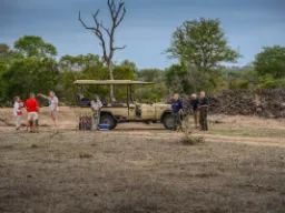Tauko savannilla, ja baari on avoinna Tauko savannilla, ja baari on avoinna