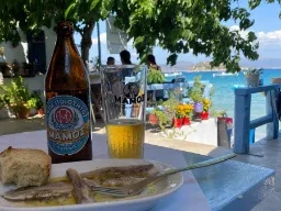 Vierailu tavernassa Tolossa