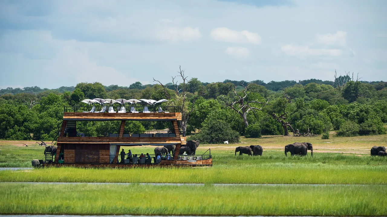 Veneestä tarkkaillaan rannalla laiduntavia norsuja