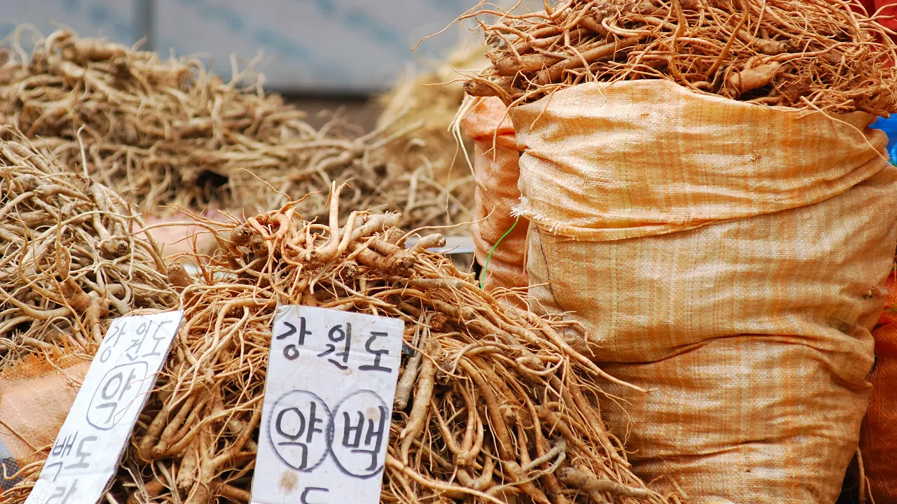 Ginsengiä myynnissä markkinoilla Etelä-Koreassa Ginsengiä myynnissä markkinoilla Etelä-Koreassa