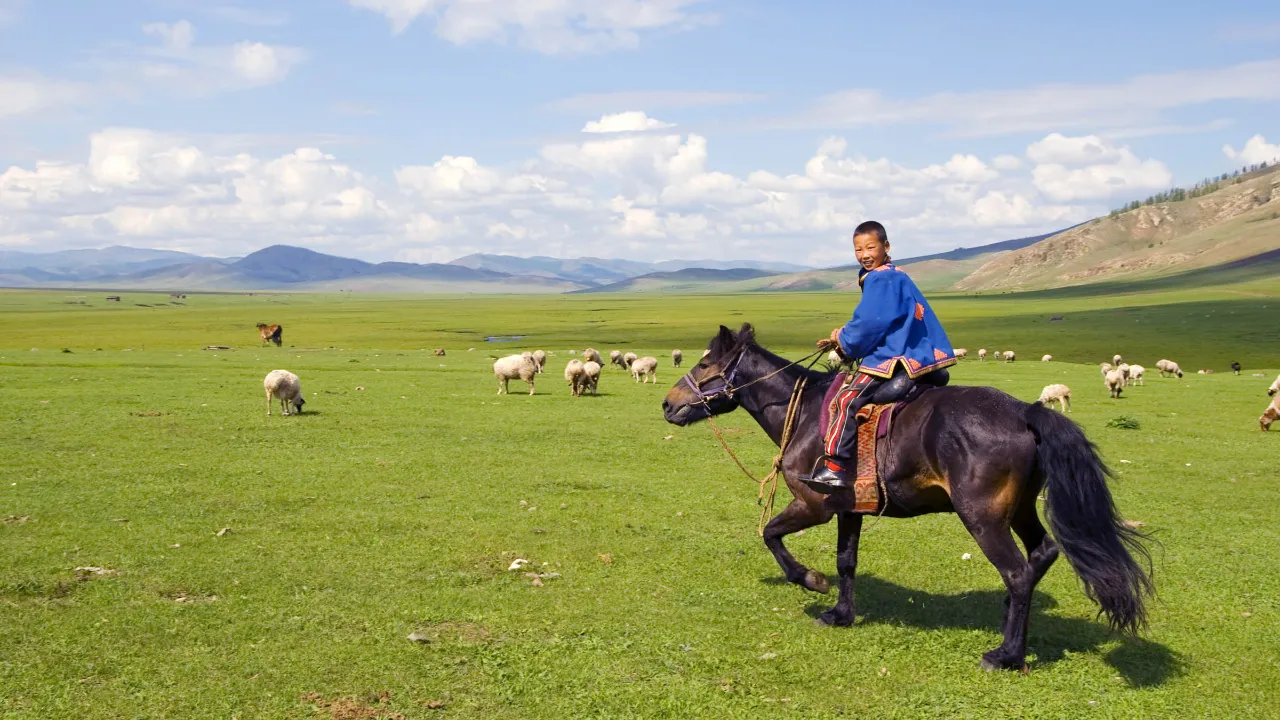 Hevosella on keskeinen rooli Mongolian kulttuurissa – Mongoliaa kutsutaan usein "monien hevosten maaksi"