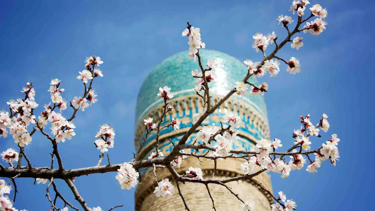 Minareetti turkoosinsinisin laattakoristein Buharassa, Uzbekistanissa Minareetti turkoosinsinisin laattakoristein Buharassa, Uzbekistanissa