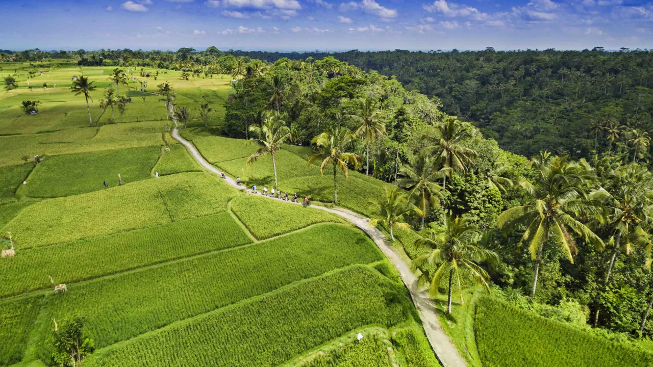 Pyöräretkellä Ubudin riisipeltojen halki