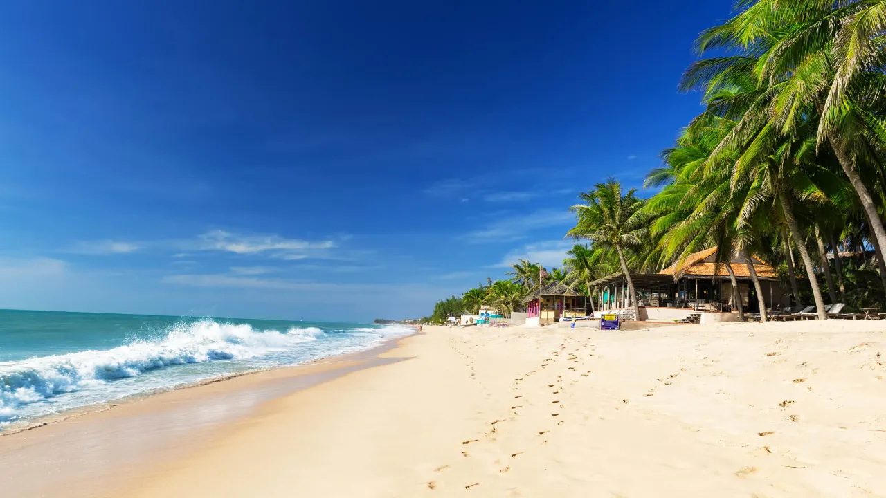 Mui Nen loputon palmuranta Mui Nen loputon palmuranta
