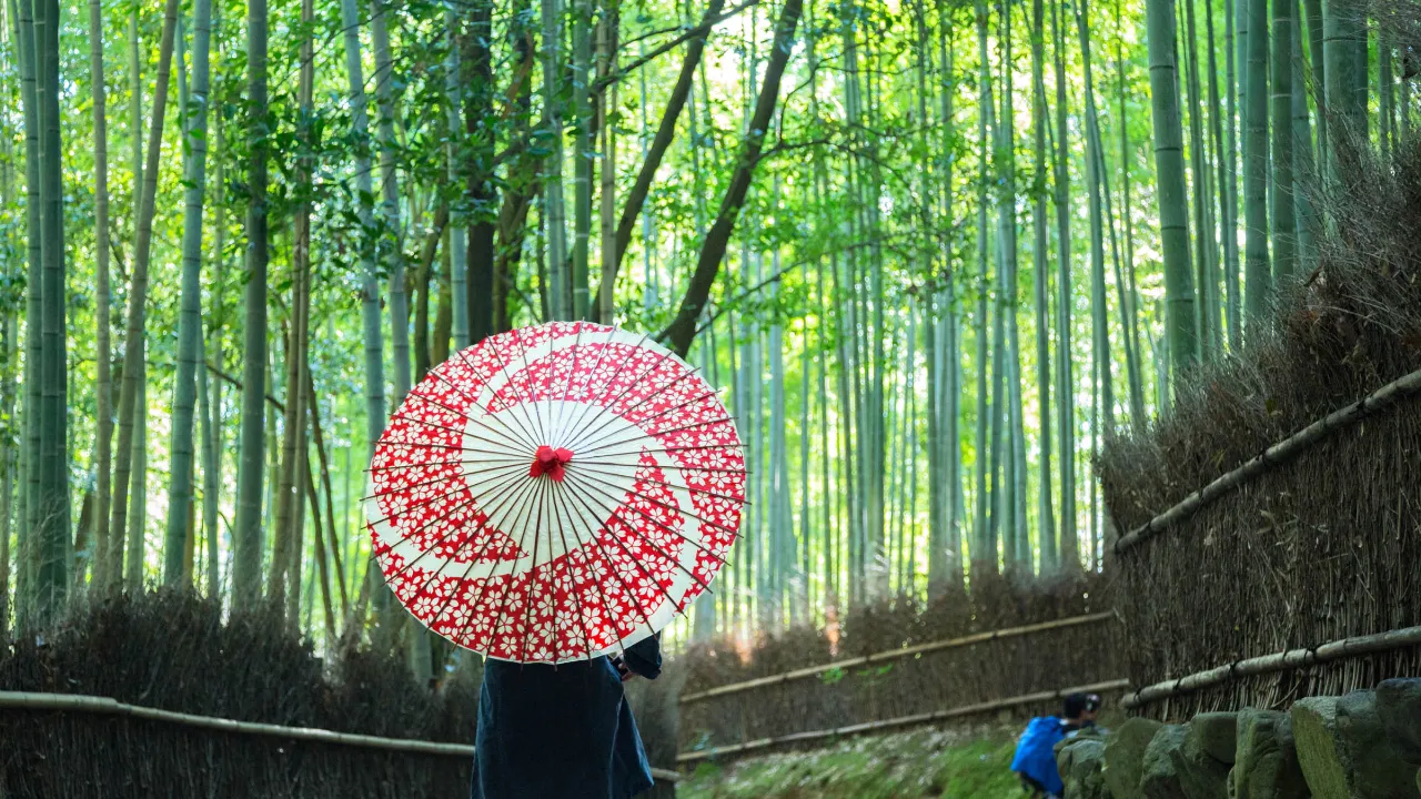Bambumetsä Arashiyamassa, Kioto Bambumetsä Arashiyamassa, Kioto
