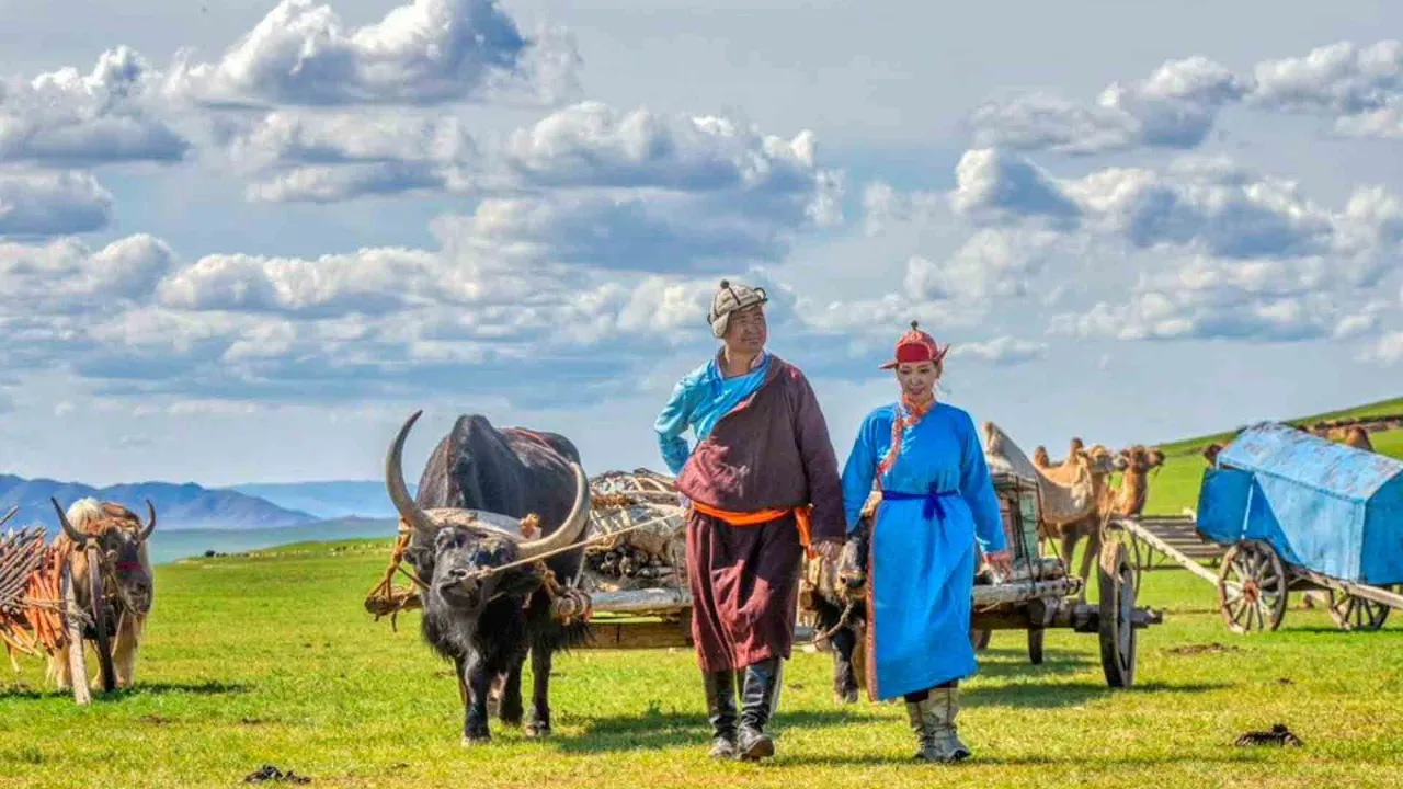 Mongolialaiset paimentolaiset härkävankkureiden kanssa aroilla Mongolialaiset paimentolaiset härkävankkureiden kanssa aroilla